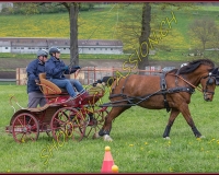 2POSIEUX 0289